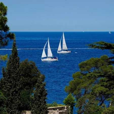 Hotel Island Istra 4*